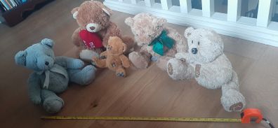 Teddy Bears x 5