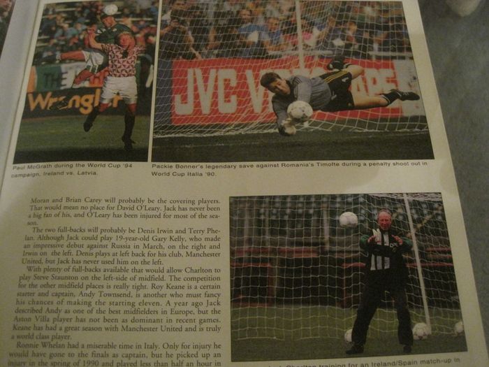 Vintage World Cup USA 94 IE (Irish Echo)Magazine