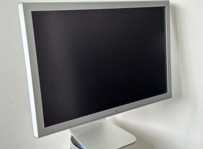 Apple Cinema Display 20 inch A1081