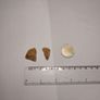 Golden healer quartz Image 4