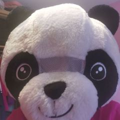 panda head mask