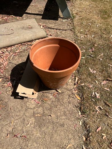 plant pots job lot