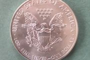 10x 1oz Silver American Eagle Coin