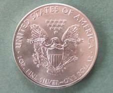 10x 1oz Silver American Eagle Coin