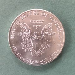 10x 1oz Silver American Eagle Coin