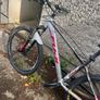 Fuji Tahoe 4.0 Image 2