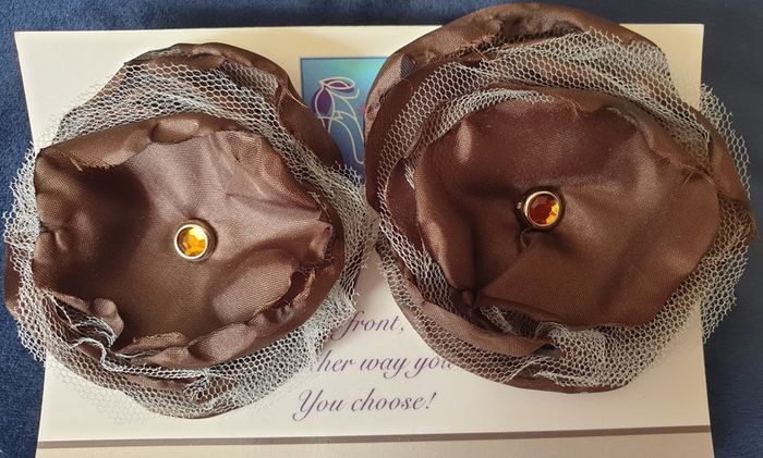 Shoe Clips