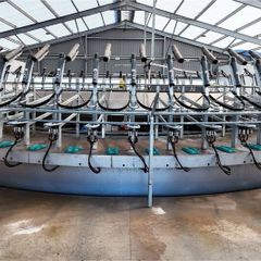 Milker Available