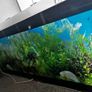 Narrow Aqua Scape Tank Image 3
