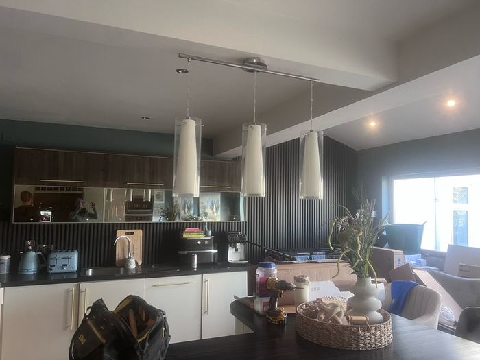 lStunninh Ceiling Light