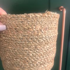 New house plant pot