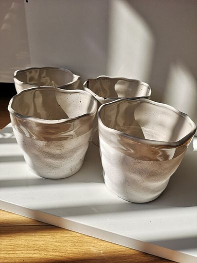 2 Ceramic White Plant Pots