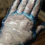 Disposable Powder-Free Gloves  Polyethylene Image 3