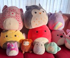 Collection of squishmallows