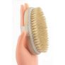 Body Brush Back Scrubber Shower Bath Cleaning Massager Bristle Long Handle Image 2