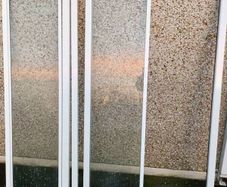 Shower door
