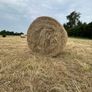 Hay Image 4