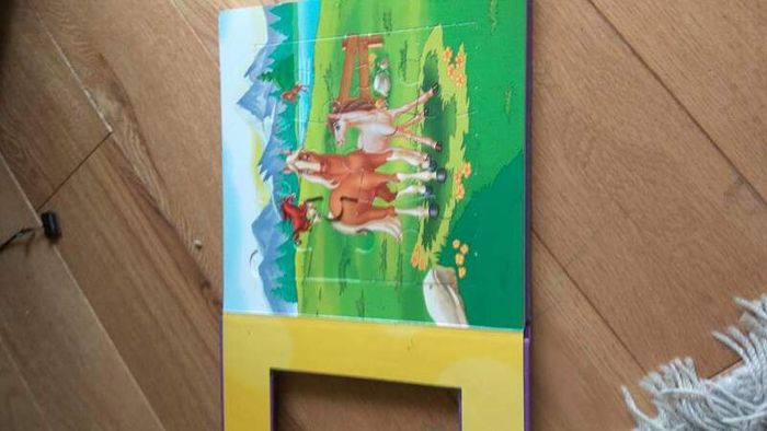 Puzzle horses book