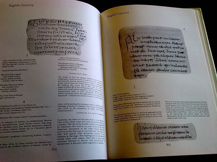 The Irish Hand Scribes and manuscripts with exemplar of scripts Ireland Dolmen