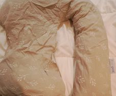 Dreamgenii pregnancy pillow