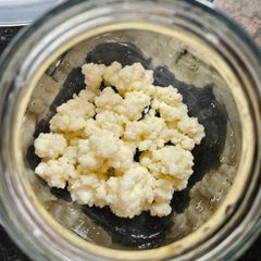 Active Milk Kefir Grains