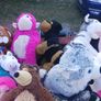 cuddley toys. Image 8