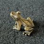 3 brass frogs,. Solid brass. Image 4