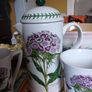 Portmeirion Cafetiere Image 2