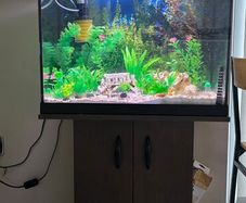 Fish tank