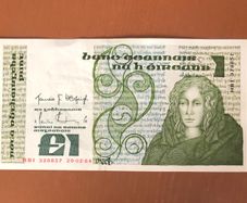 Irish one pound punt note