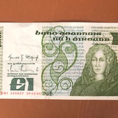 Irish one pound punt note