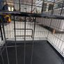 Large Dog Crate Image 3