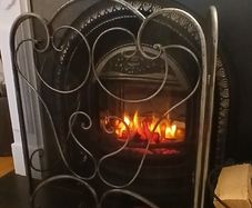 Fire guard