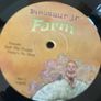 Dinosaur Jr. - Farm (Limited Edition) Image 8