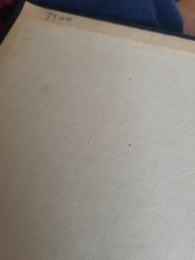 Antique New English Dictionary John Bull Edition 1932 Large Vintage Reference Book