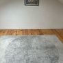 rug Image 2