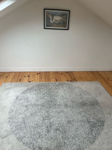 rug