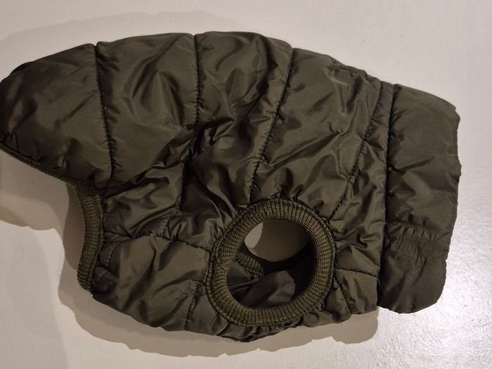 dog jacket