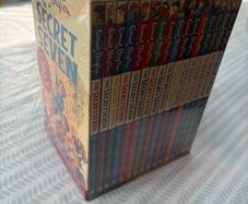 secret seven books