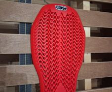 back protector
