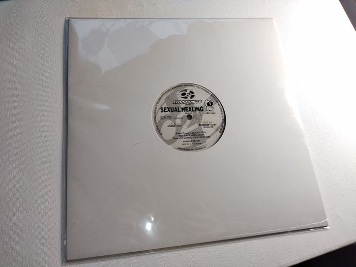 Luvspunge - Sexual Healing - Dance 2 Recordings - TOP Quality SIDES 90s HOUSE!