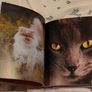 Cat Book Image 3