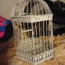 bird cage Image 2