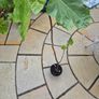 Fig Tree Image 3