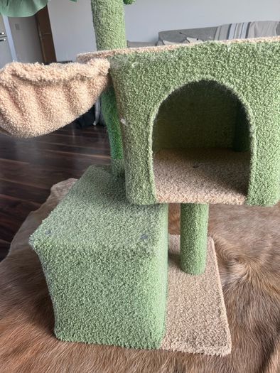 Cat House
