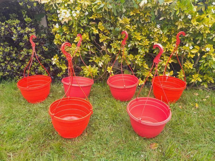 6 x Strawberry tomato hanging planters