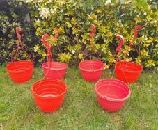 6 x Strawberry tomato hanging planters