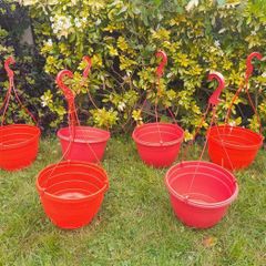 6 x Strawberry tomato hanging planters