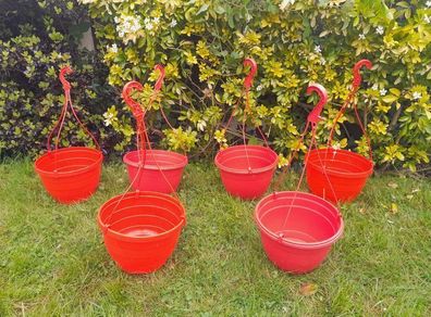 6 x Strawberry tomato hanging planters