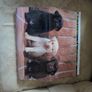 Labrador calender 2020 Image 5